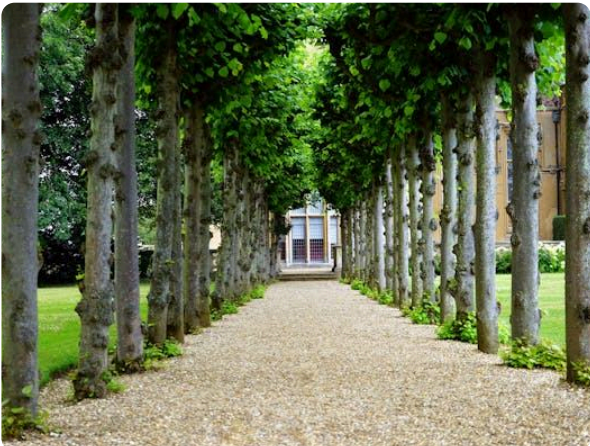 welcome-cedar-grove-house